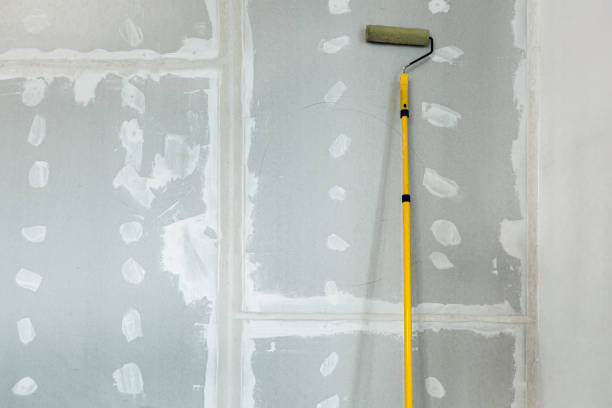 Best Environmental Consulting for Mold Prevention  in Sisseton, SD