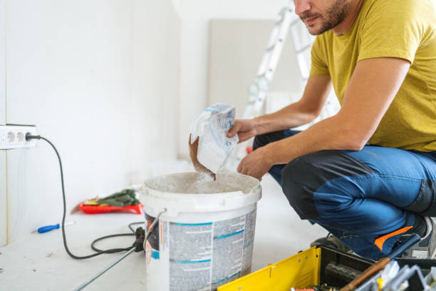 Best Post-Construction Mold Inspection  in Sisseton, SD