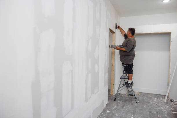 Mold Odor Removal Services in Sisseton, SD