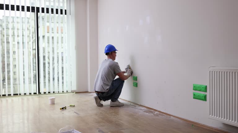 Best Basement Mold Removal  in Sisseton, SD