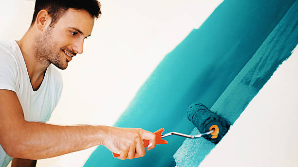 Best Mold Odor Removal Services  in Sisseton, SD