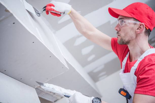 Professional Mold Removal in Sisseton, SD